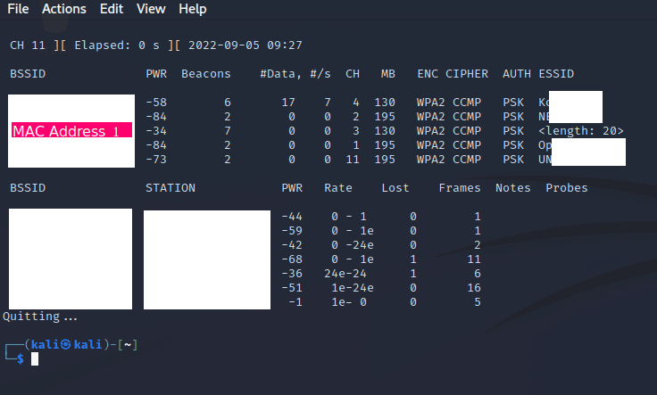 Airmon-NG output